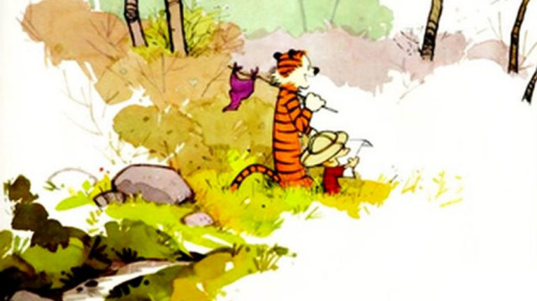Calvin and Hobbes, A Comic That Has Transcended A Generation