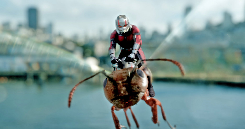 Ant man riding ant. jpg