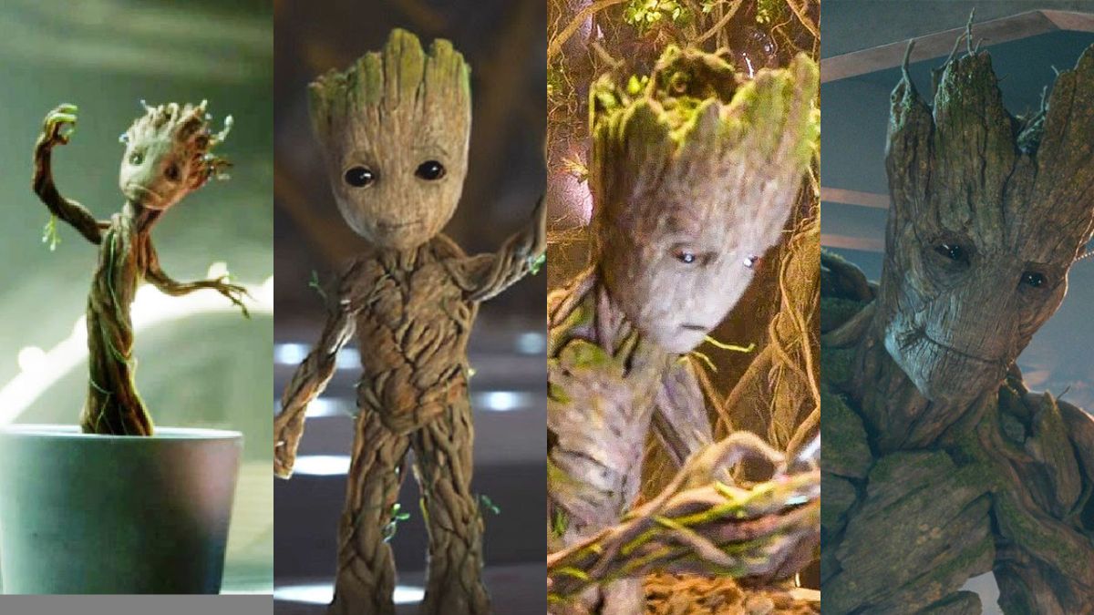 groot growth rate