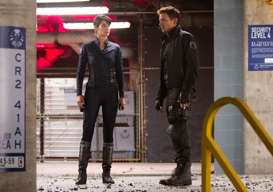 What Happened to Maria Hill After Avengers: Endgame?