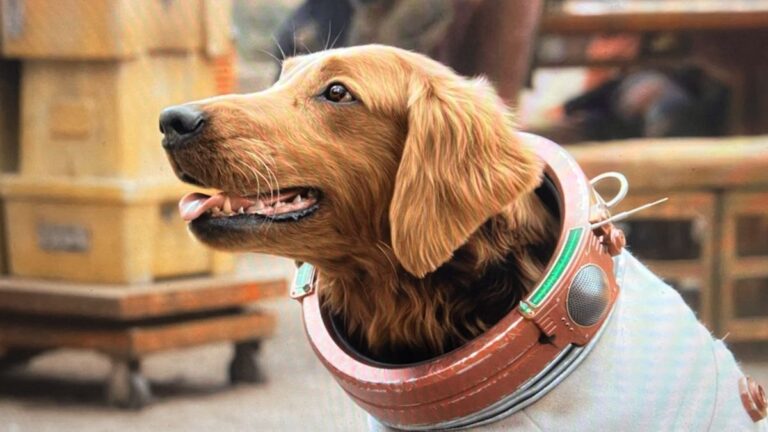 Cosmo The Spacedog ne tür bir köpek? Cins açıklandı