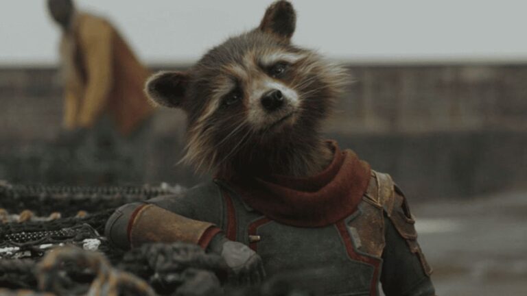 20 Greatest Rocket Raccoon Quotes from Movies & Comics
