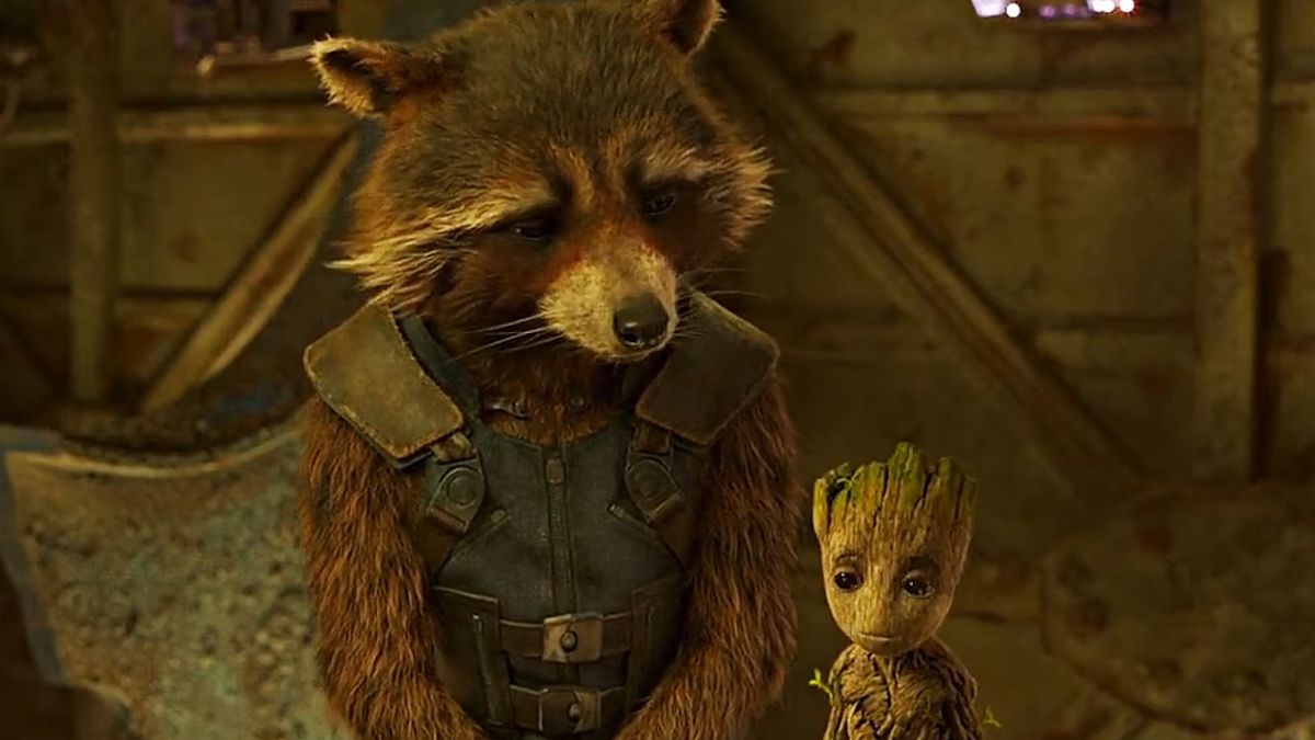 How Did Rocket Meet Groot in Guardians of the Galaxy Explained