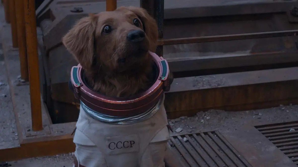 cosmo the spacedog