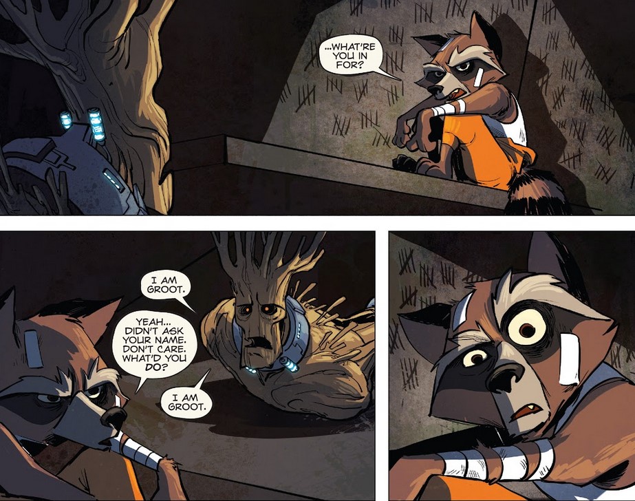 How Did Rocket Meet Groot in Guardians of the Galaxy? Explained