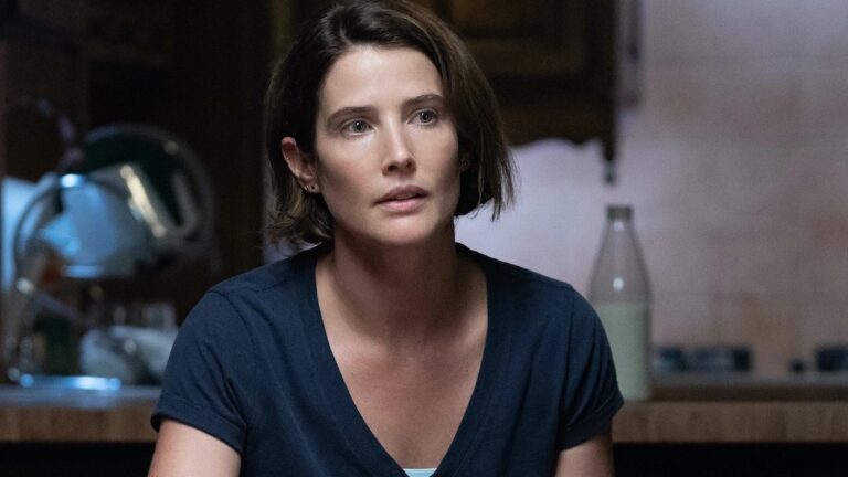 Cobie Smulders Will Return as Maria Hill, But Not in the Way You Might Expect
