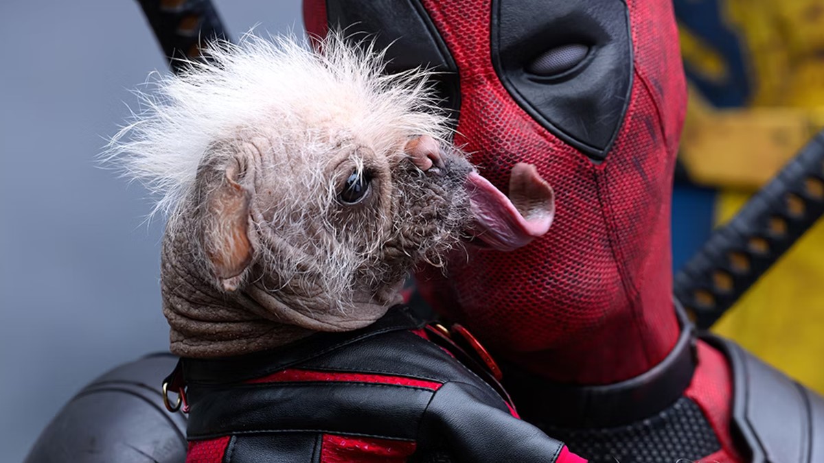 Ryan Reynolds Reveals Why He Chose The Ugliest Dog To play Deadpool Variant