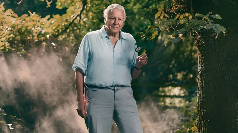 LEGO Jokingly Updates Age Limit on Sets to 100 in Tribute to David Attenborough’s 100th Birthday