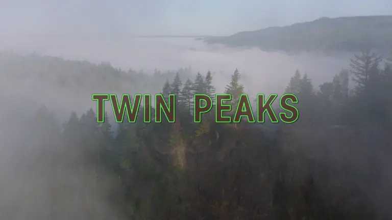 ‘Twin Peaks: The Return’ Actor Dead at 44, Family Says Circumstances Remain Shrouded in Mystery