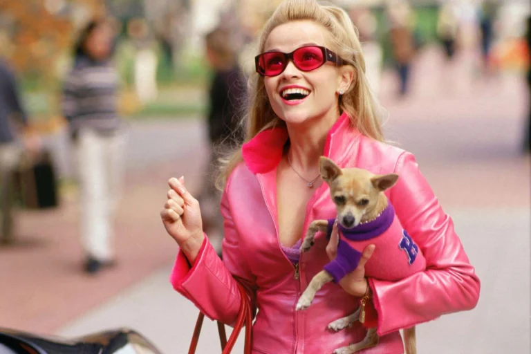 Every ‘Legally Blonde’ Movie Ranked In Order And How Each One Shapes Elle Woods’ Journey