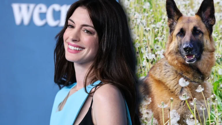 ‘Everybody’s So Scared’ — ‘The Odyssey’ Star Anne Hathaway Says One Thing Should Automatically Earn a Movie an R Rating