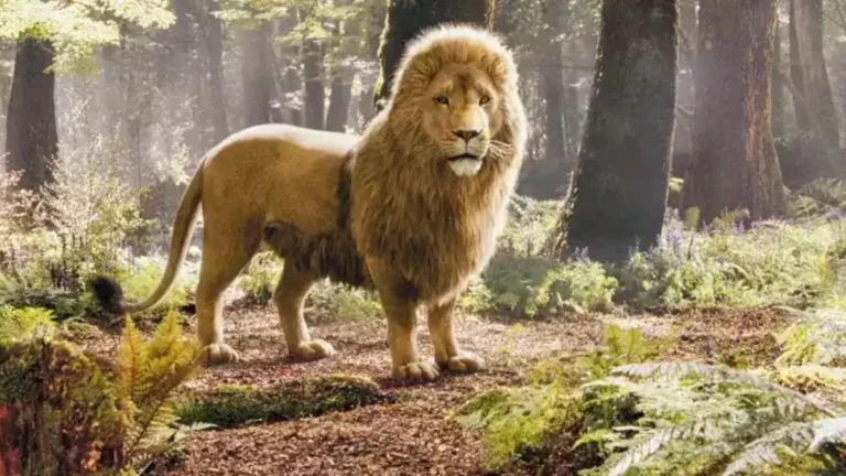 First Look at Aslan in ‘Narnia’ Revealed, and Meryl Streep Is Officially the Voice Behind the Great Lion