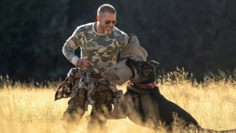 Brad Pitt’s ‘Heart of the Beast’ Opens Soft at the Box Office Despite Glowing Reviews