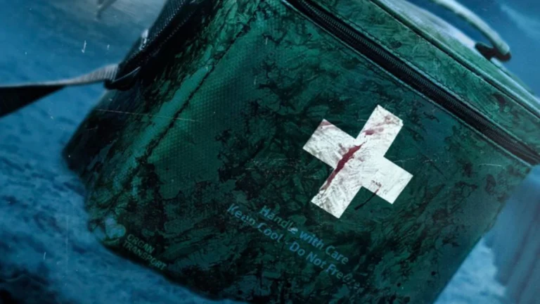 “You’ll Be Thoroughly Convinced”: Zach Cregger Responds to ‘Resident Evil’ Backlash